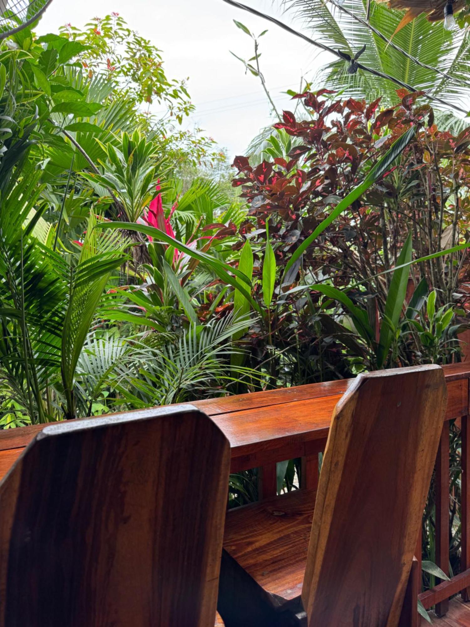 Colibri 3 Minutes Walk To And Town Holiday home Puerto Viejo de Talamanca